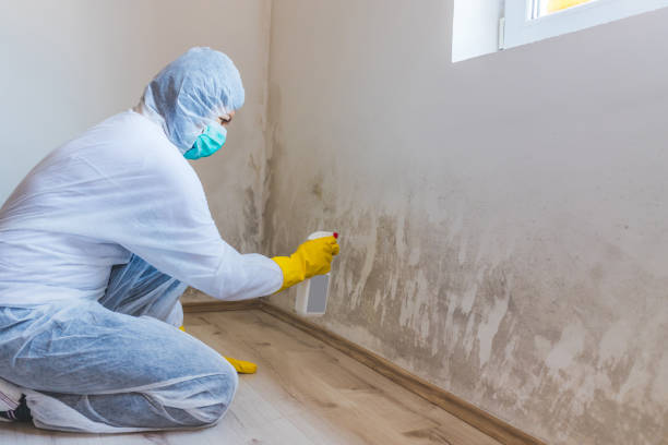 Best Mold Removal Process  in Parker, CO