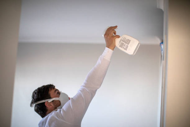 Best Mold Remediation  in Parker, CO