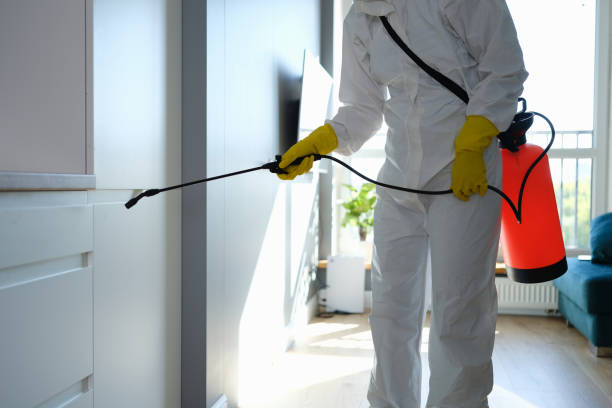 Best Toxic Mold Removal  in Parker, CO