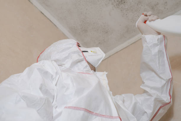 Mold Testing and Removal in Parker, CO