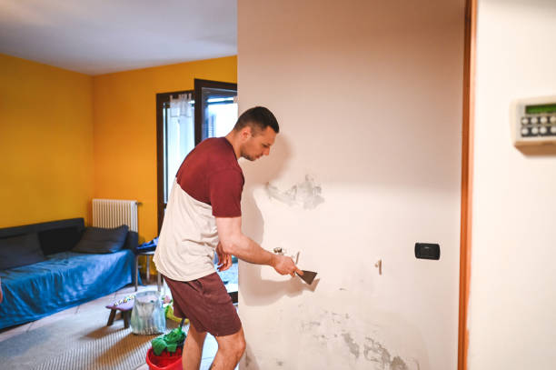 Best Best Mold Removal Companies  in Parker, CO